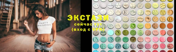 гашик Алексин