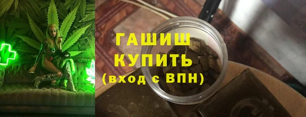 гашик Алексин