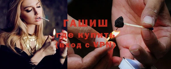гашик Алексин