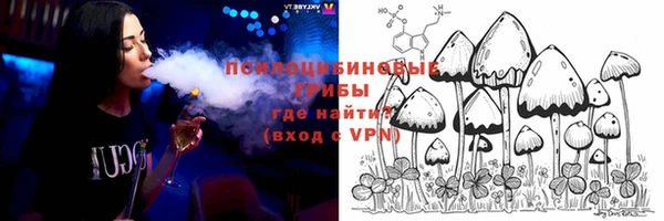 индика Абаза