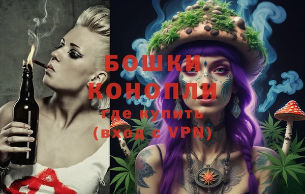 гидра Алексеевка