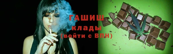 индика Абаза