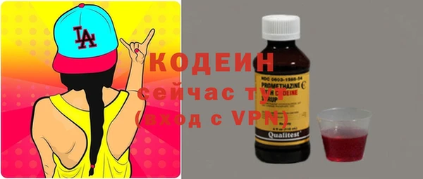 индика Абаза