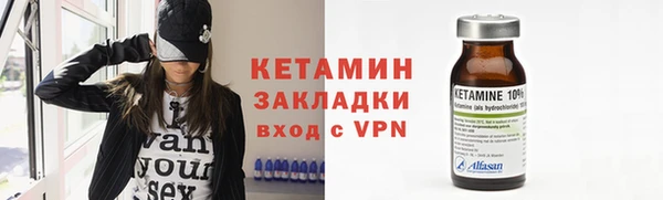 гашик Алексин