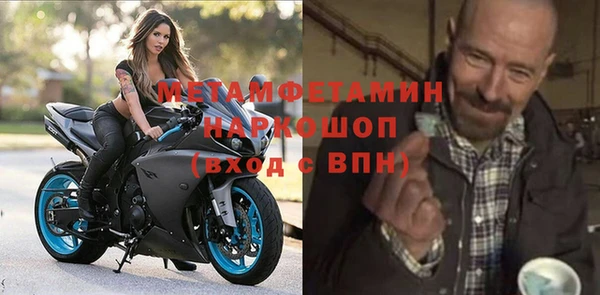индика Абаза